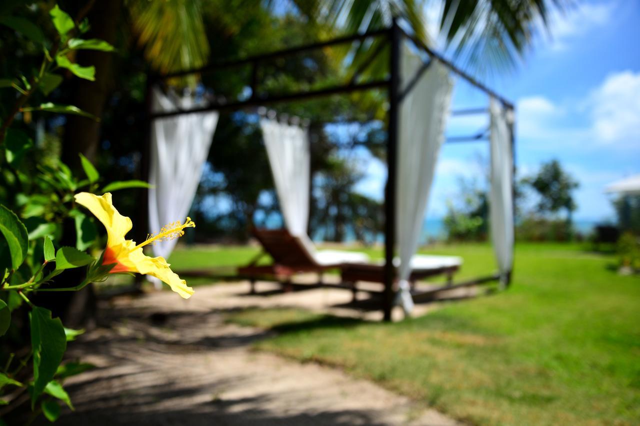 Pousada Enseada Dos Golfinhos Praia de Pipa Eksteriør billede